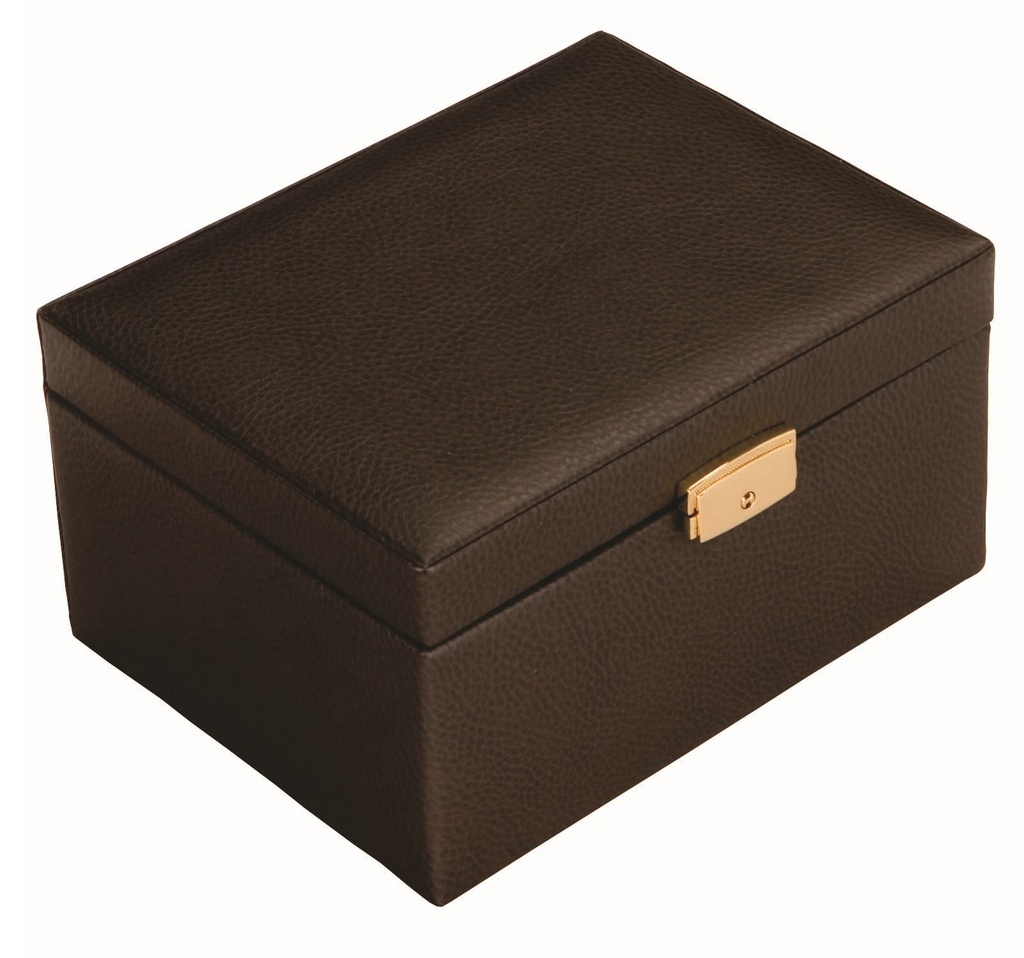 Chocolate Leather Chest