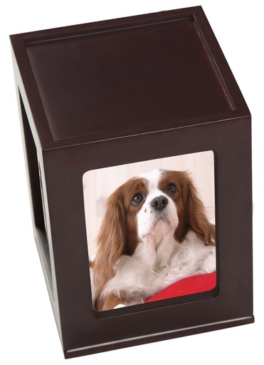 [708 DDP] Pet Photo Wood Urn